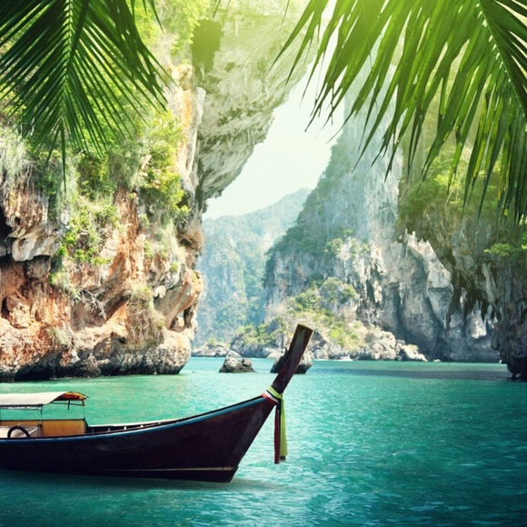 Meet your Posher, Tabby - Picture 1 of 2